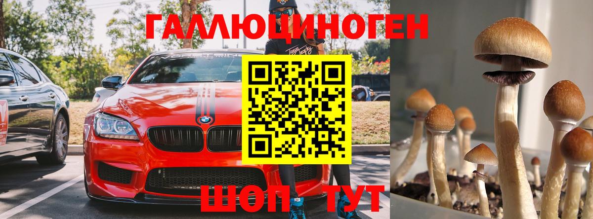 купить закладку  Вход с VPN  Рославль  Псилоцибиновые грибы мухоморы 